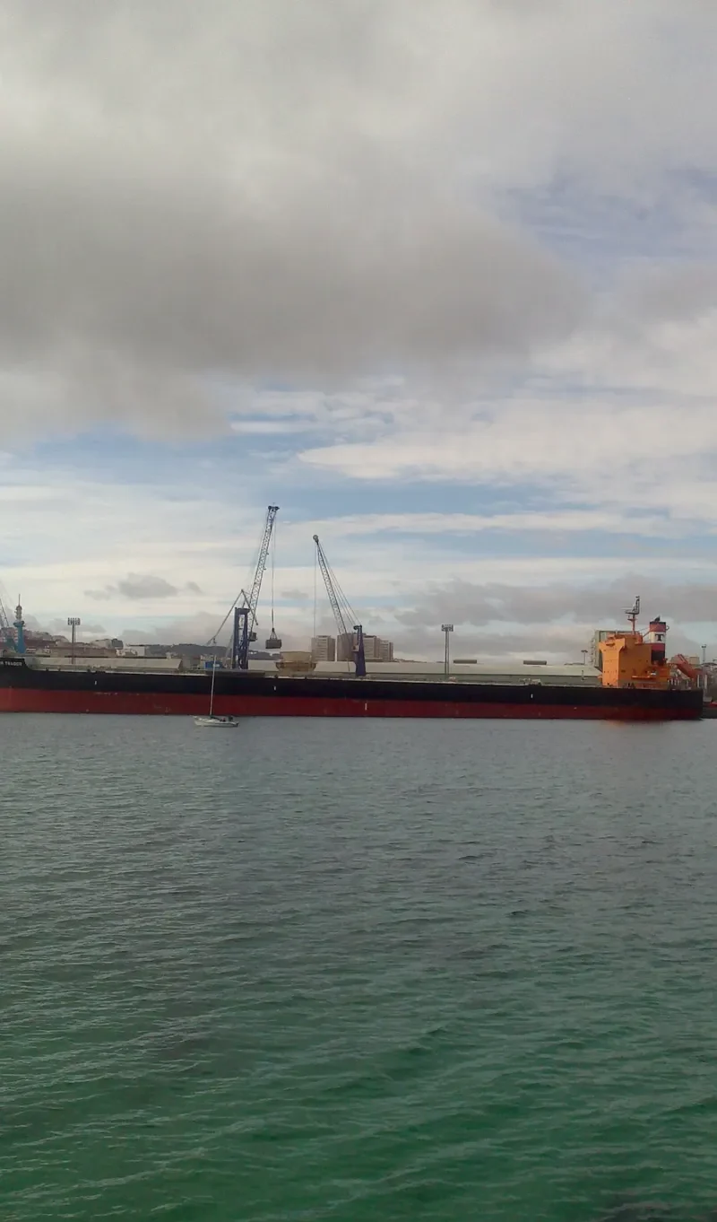 STAR TRADER Bulk Carrier IMO 9461142 photo 5