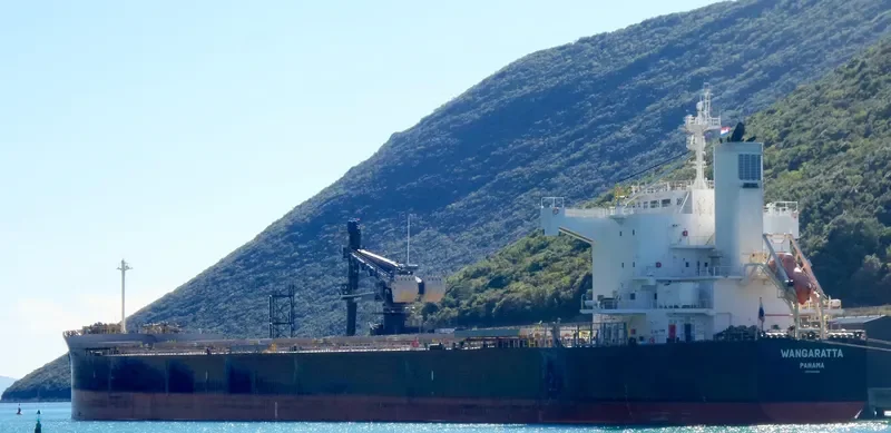 WANGARATTA Bulk Carrier IMO 9461166 photo 3