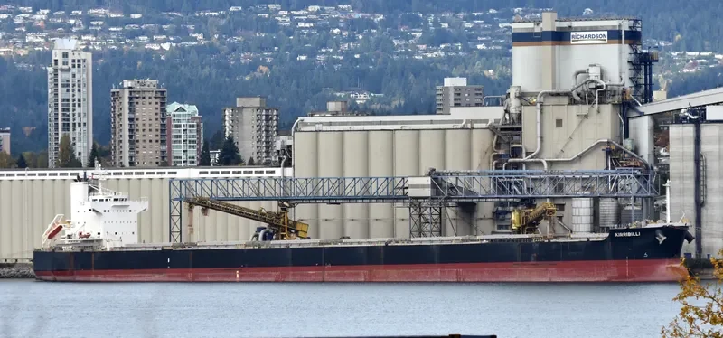 KIRRIBILLI Bulk Carrier IMO 9461178 photo 2