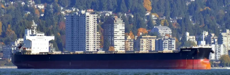 KIRRIBILLI Bulk Carrier IMO 9461178 photo 3