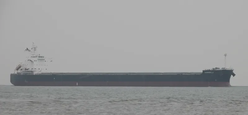 KIRRIBILLI Bulk Carrier IMO 9461178 photo 6