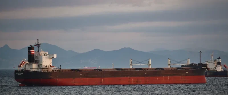 AEOLIAN FORTUNE Bulk Carrier IMO 9461192