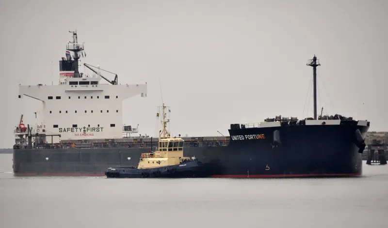 AEOLIAN FORTUNE Bulk Carrier IMO 9461192 photo 3