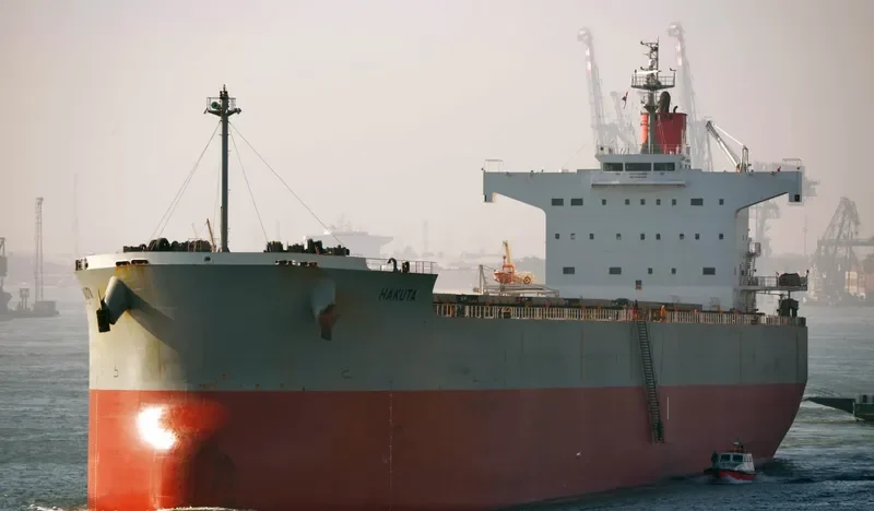 HAKUTA Bulk Carrier IMO 9461221 photo 2