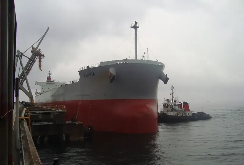 HAKUTA Bulk Carrier IMO 9461221 photo 6