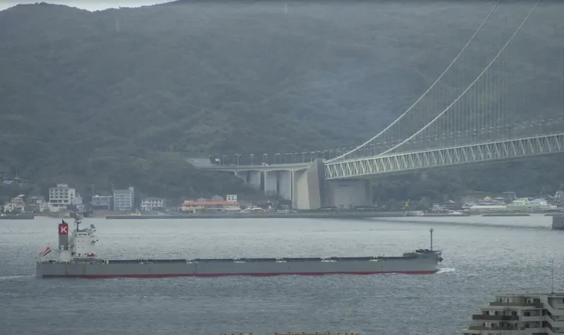 HAKUTA Bulk Carrier IMO 9461221 photo 7