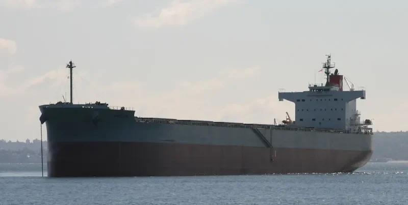 HAKUTA Bulk Carrier IMO 9461221 photo 9