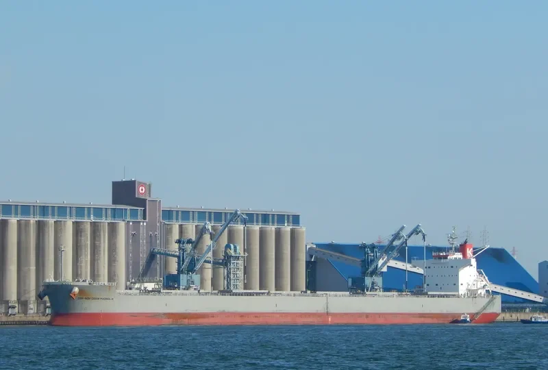 MAGNOLIA Bulk Carrier IMO 9461233