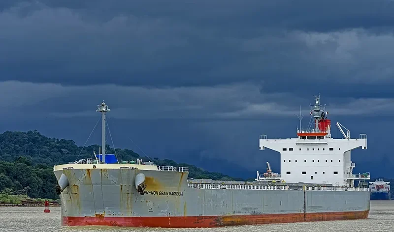 MAGNOLIA Bulk Carrier IMO 9461233 photo 2