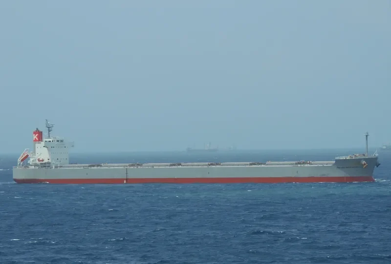 MAGNOLIA Bulk Carrier IMO 9461233 photo 3