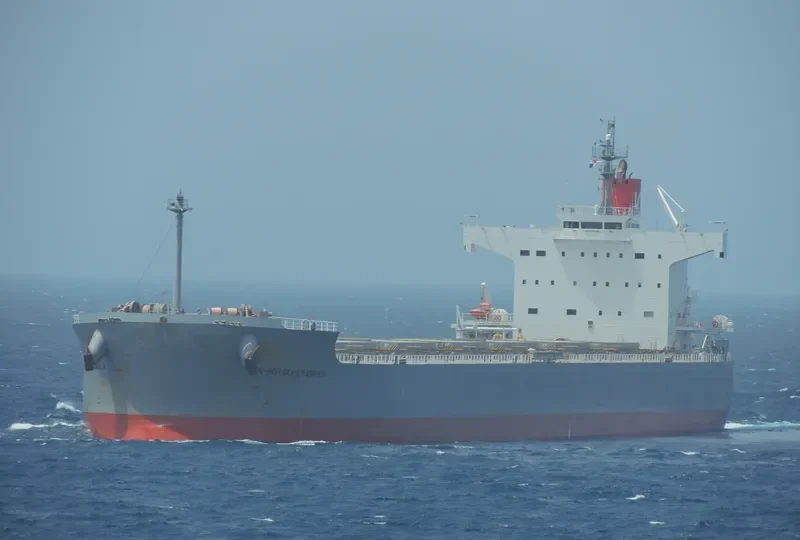 MAGNOLIA Bulk Carrier IMO 9461233 photo 6