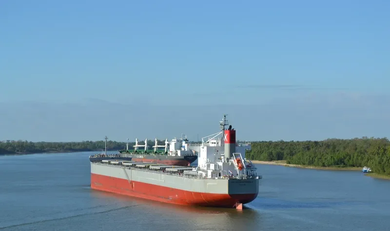 MAGNOLIA Bulk Carrier IMO 9461233 photo 8