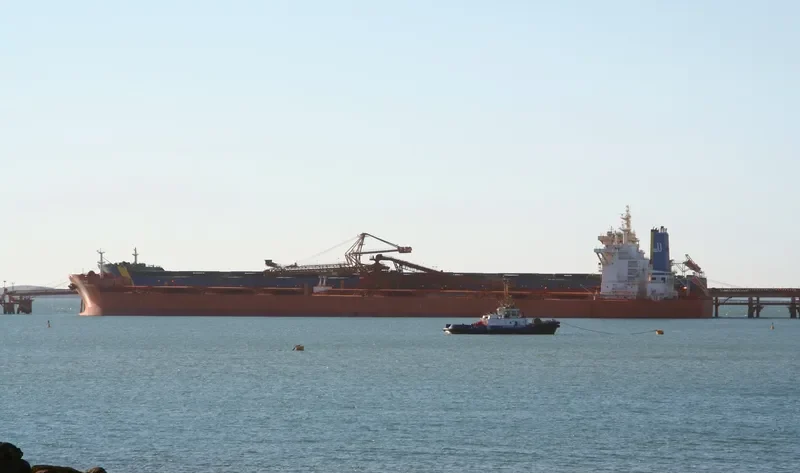 MINERVA PROVIDENCE Bulk Carrier IMO 9461257
