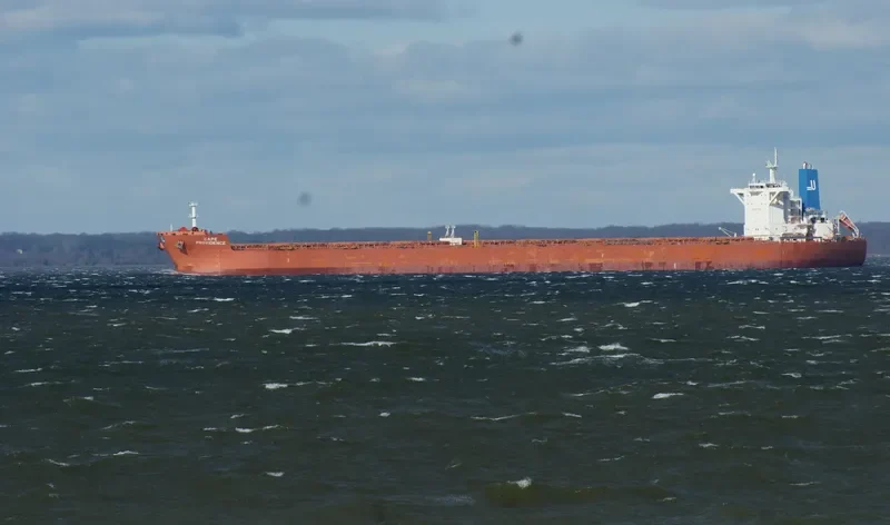 MINERVA PROVIDENCE Bulk Carrier IMO 9461257 photo 2