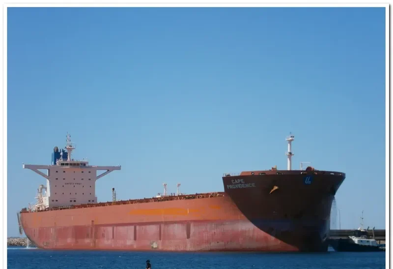 MINERVA PROVIDENCE Bulk Carrier IMO 9461257 photo 3