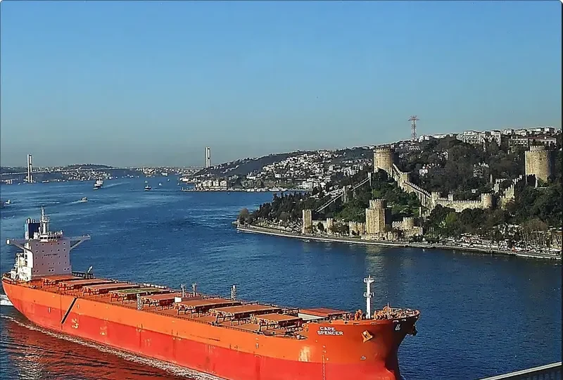 CAPE SPENCER Bulk Carrier IMO 9461269