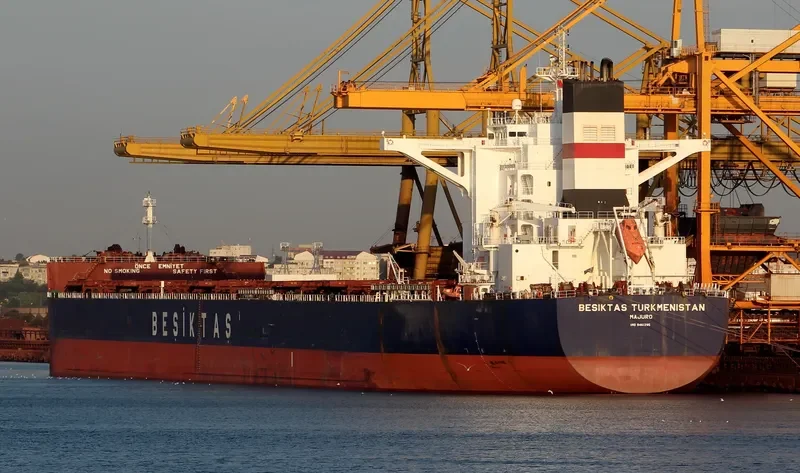 SUNNY SKY Bulk Carrier IMO 9461295 photo 2