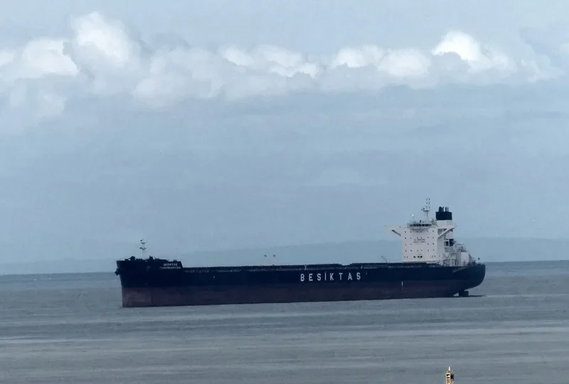 SUNNY SKY Bulk Carrier IMO 9461295 photo 4