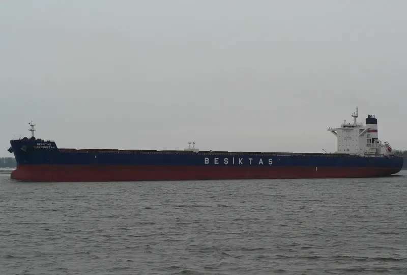 SUNNY SKY Bulk Carrier IMO 9461295 photo 5