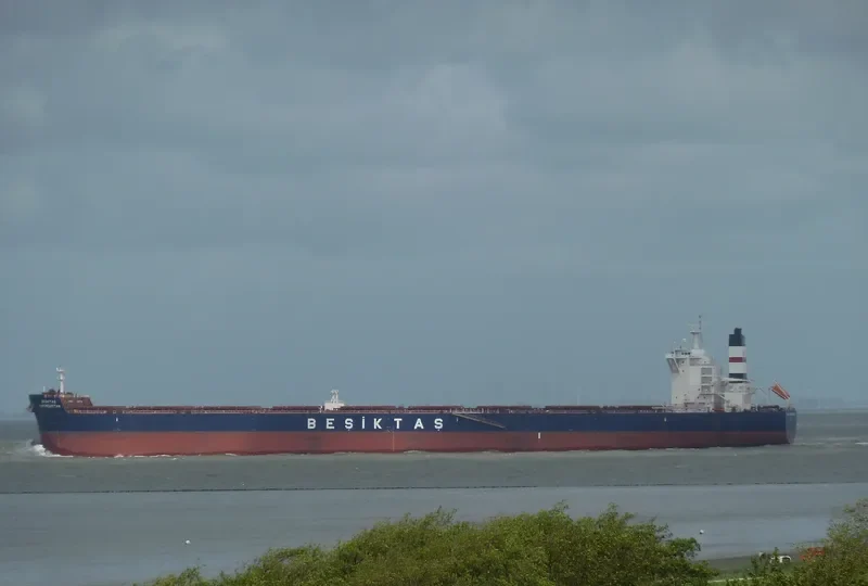 SUNNY SKY Bulk Carrier IMO 9461295 photo 6