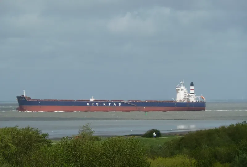 SUNNY SKY Bulk Carrier IMO 9461295 photo 7