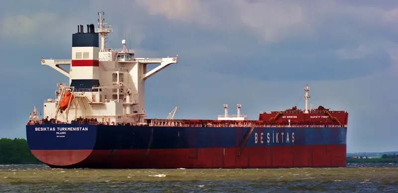 SUNNY SKY Bulk Carrier IMO 9461295 photo 8