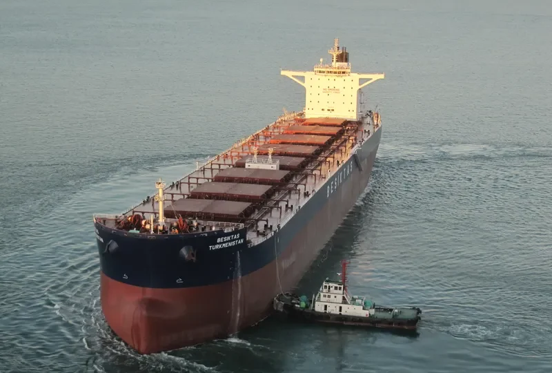 SUNNY SKY Bulk Carrier IMO 9461295 photo 9