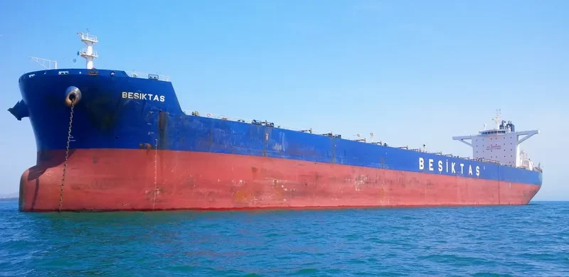 SUNNY STAR Bulk Carrier IMO 9461300 photo 5