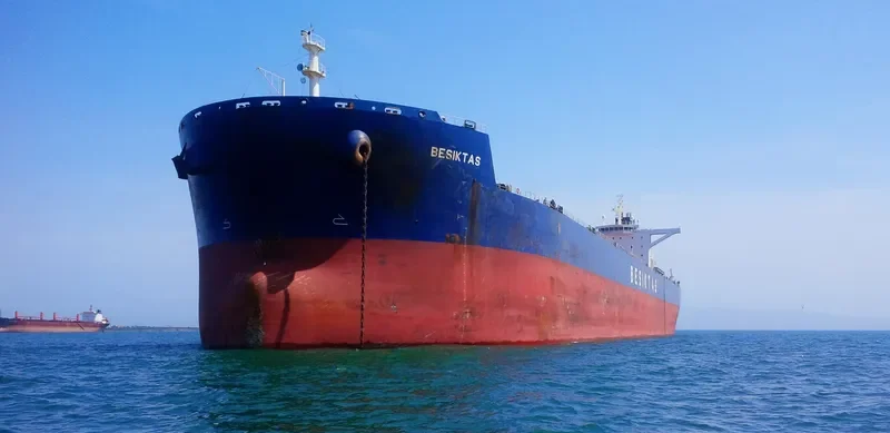 SUNNY STAR Bulk Carrier IMO 9461300 photo 6