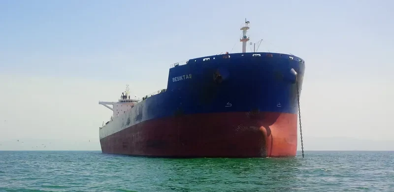 SUNNY STAR Bulk Carrier IMO 9461300 photo 7