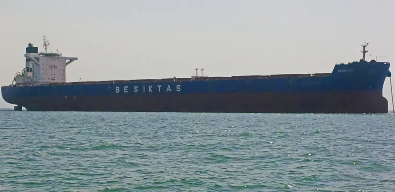 SUNNY STAR Bulk Carrier IMO 9461300 photo 8