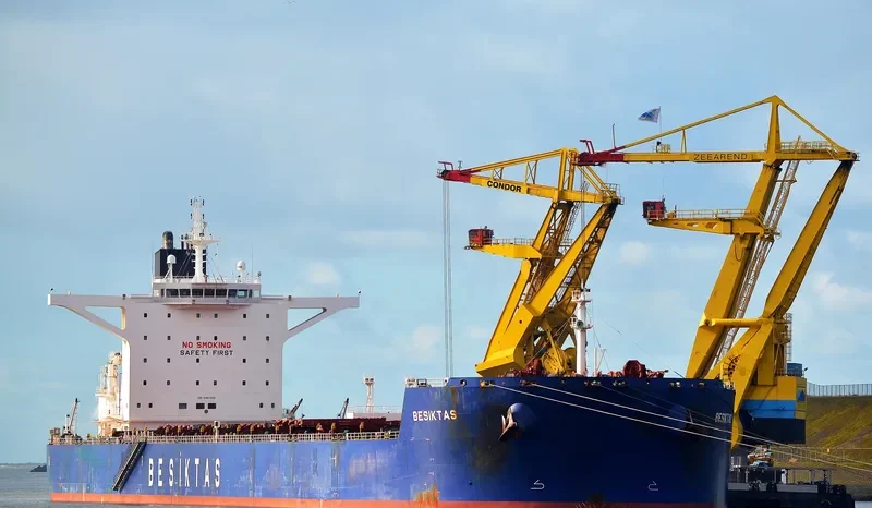 SUNNY STAR Bulk Carrier IMO 9461300 photo 10