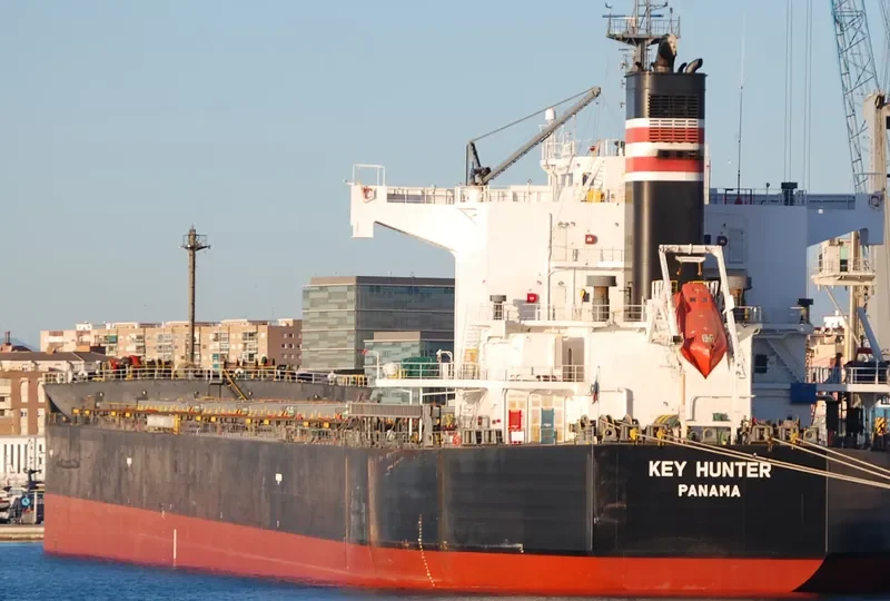 KEY HUNTER Bulk Carrier IMO 9461312