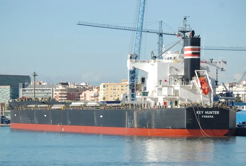 KEY HUNTER Bulk Carrier IMO 9461312 photo 4