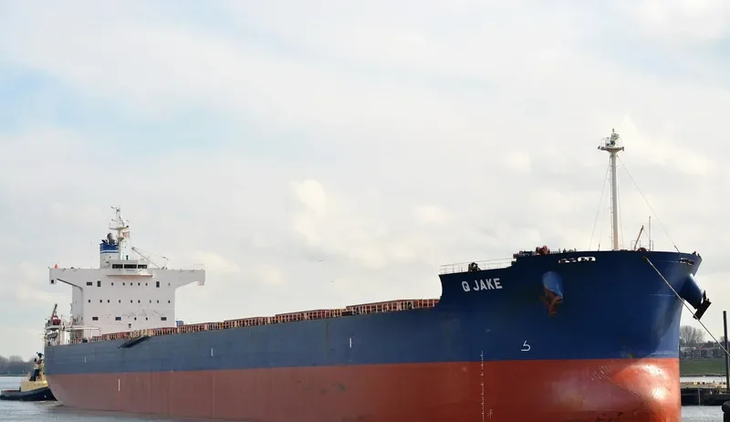 GOLDEN JAKE Bulk Carrier IMO 9461324 photo 10