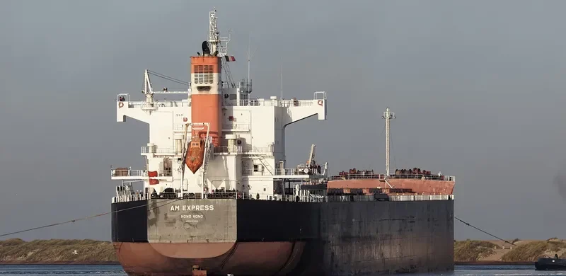 AM EXPRESS Bulk Carrier IMO 9461350