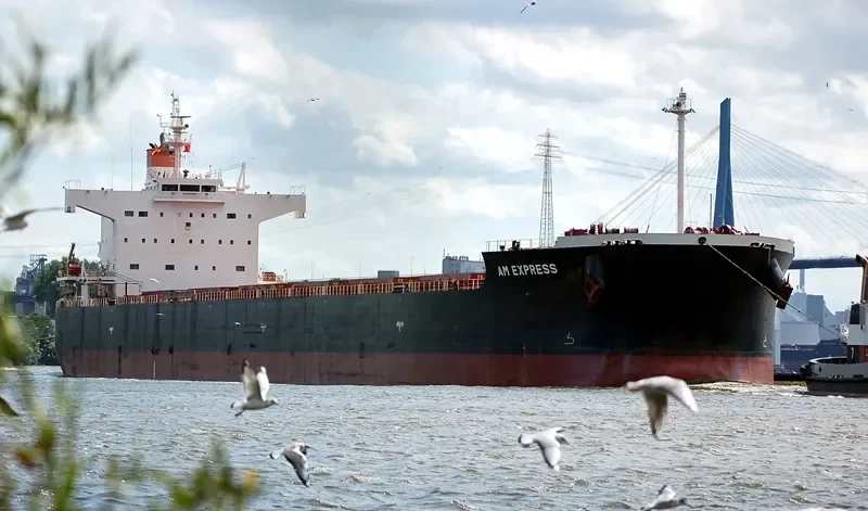 AM EXPRESS Bulk Carrier IMO 9461350 photo 5