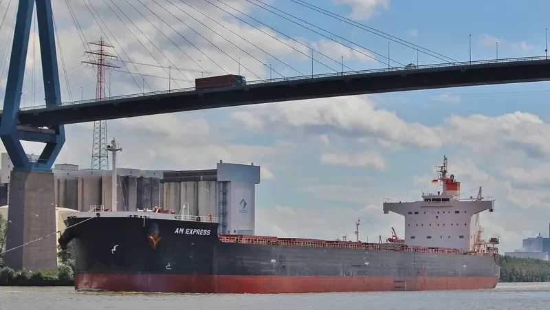 AM EXPRESS Bulk Carrier IMO 9461350 photo 6