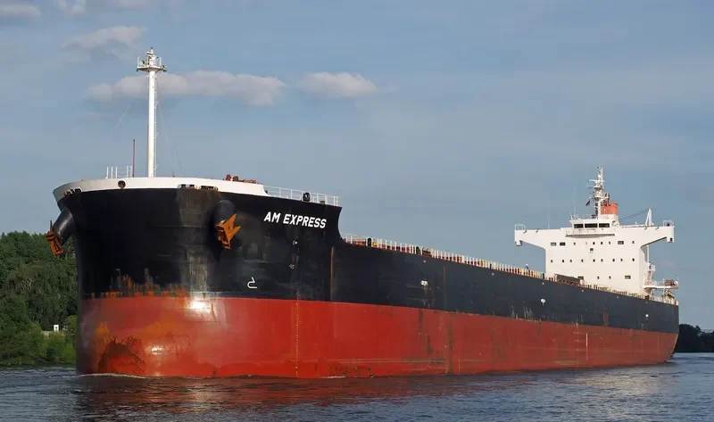 AM EXPRESS Bulk Carrier IMO 9461350 photo 8