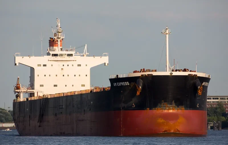 AM EXPRESS Bulk Carrier IMO 9461350 photo 9