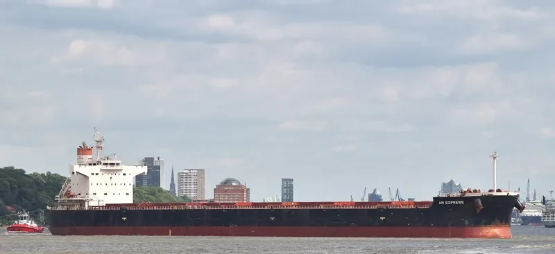 AM EXPRESS Bulk Carrier IMO 9461350 photo 10