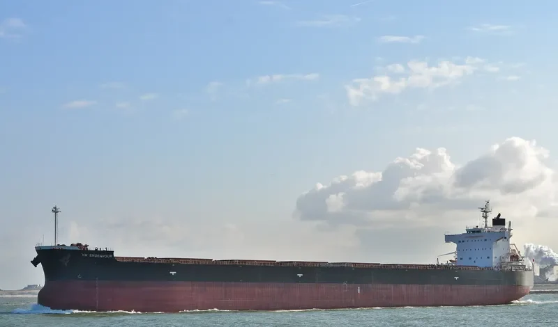 YM ENDEAVOUR Bulk Carrier IMO 9461362