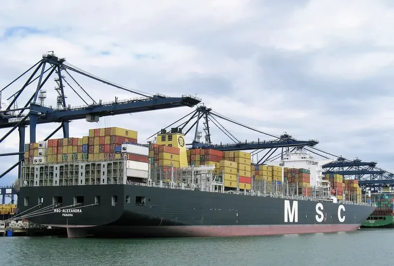 MSC ALEXANDRA Container Ship IMO 9461374