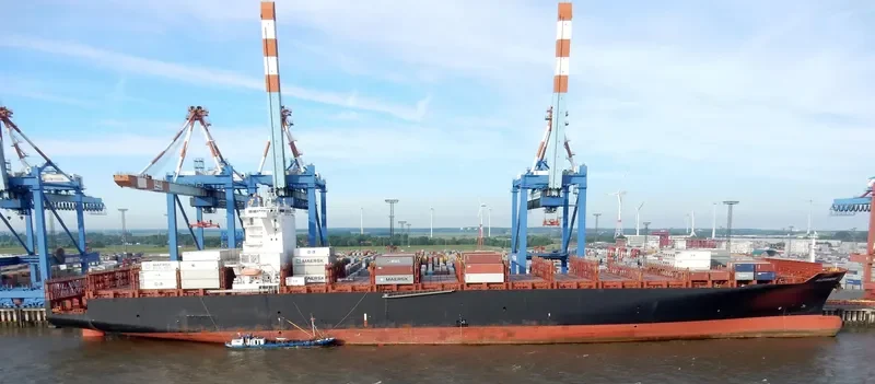 MSC ALEXANDRA Container Ship IMO 9461374 photo 3