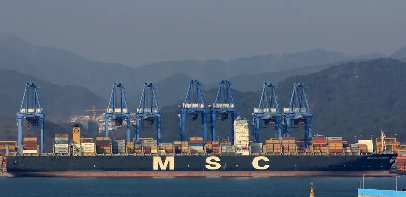 MSC ALEXANDRA Container Ship IMO 9461374 photo 5