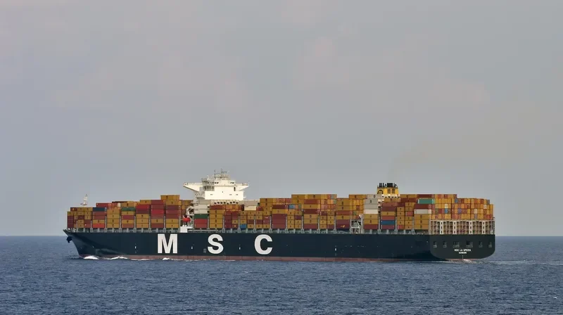 MSC LA SPEZIA Container Ship IMO 9461403