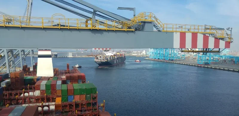 MSC DEILA Container Ship IMO 9461415 photo 3