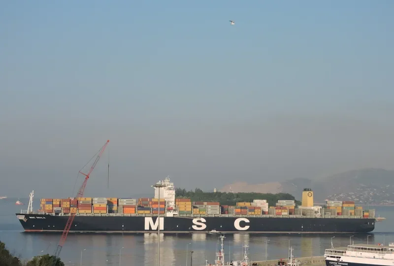 MSC DEILA Container Ship IMO 9461415 photo 10