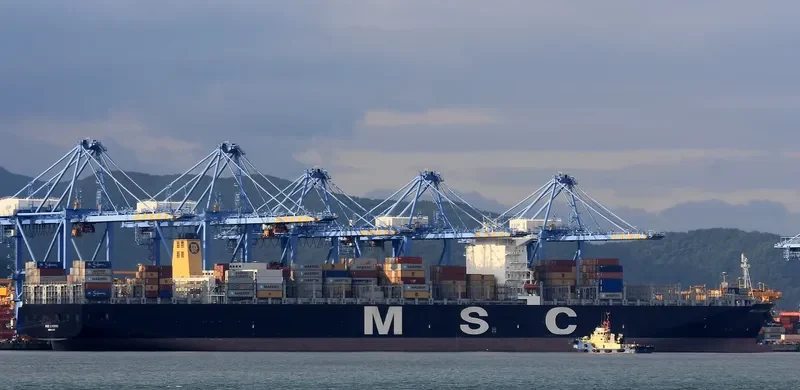 MSC LIVORNO Container Ship IMO 9461427