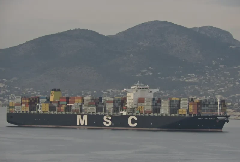 MSC VALERIA Container Ship IMO 9461439 photo 2